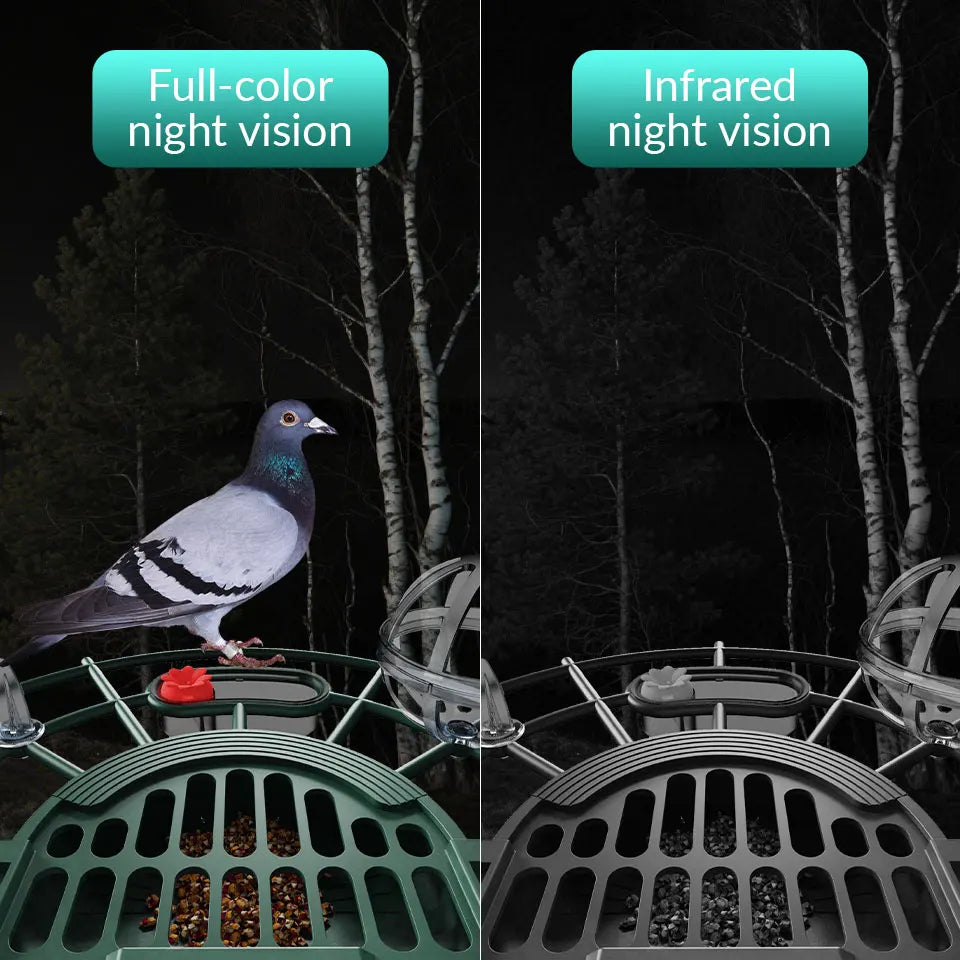 3MP Smart Bird Feeder Camera WiFi Two Way Audio Bird Identification Night Vision PIR Motion Detection For Bird Outdoor Watching