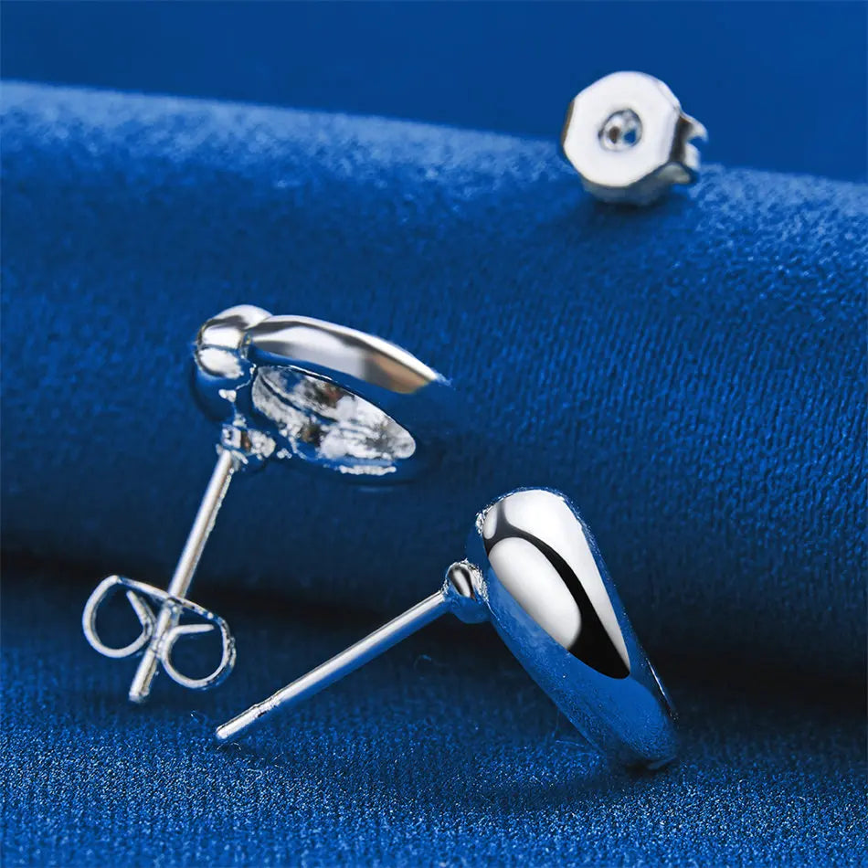 925 sterling silver luxurious and exquisite round earrings, fashionable ladies' temperament gift, party accessories jewelry