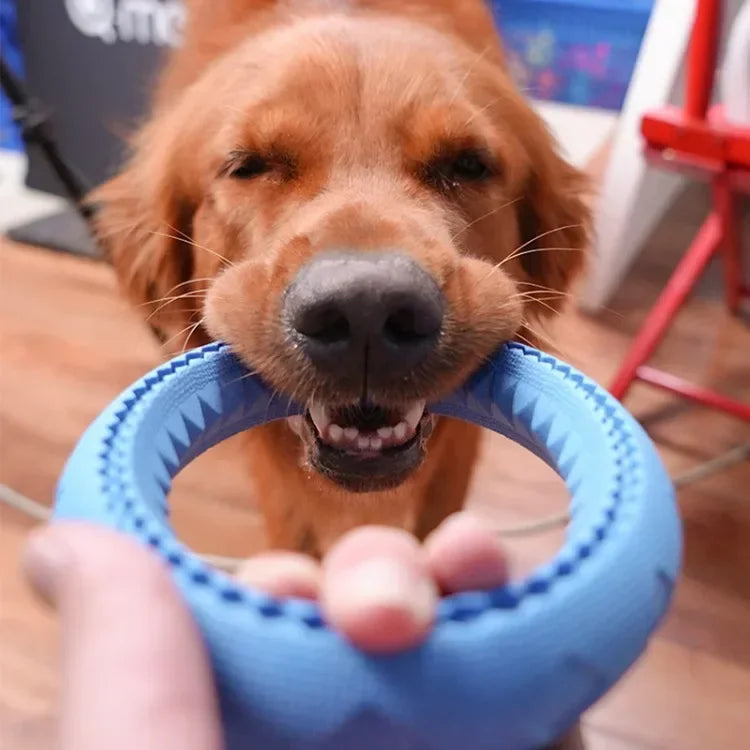 TPR Pet Flying Discs Dog Training Ring Puller Resistant Bite Floating Toy Puppy Outdoor Interactive Game Playing Products Supply