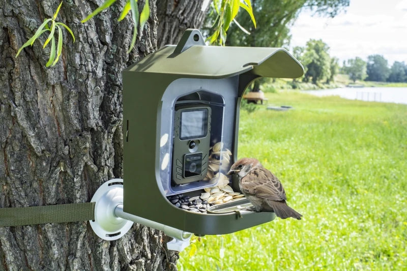 Infrared Night Vision Bird Small Animal Watching Camera Trail Camera BC-303 Birds Feeding 24MP 1080P 30