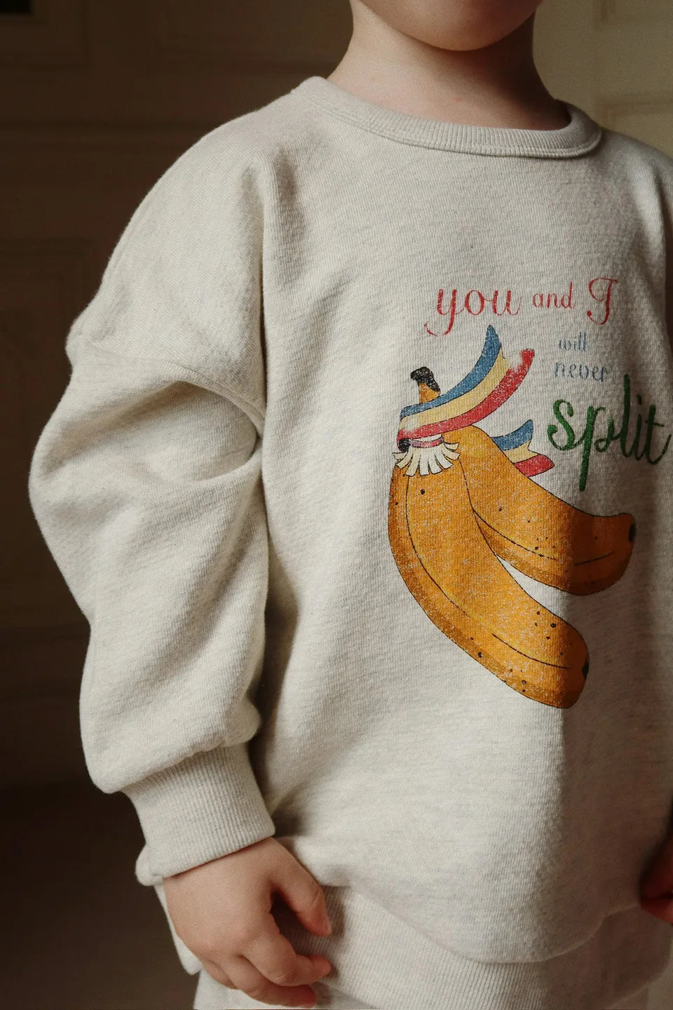 1-9Y KS Spring Baby Boys Cotton Sweatshirts Pants Suits Kids Clothes Girls Casual Banana Floral Printed Hoodies Coats Pants Sets