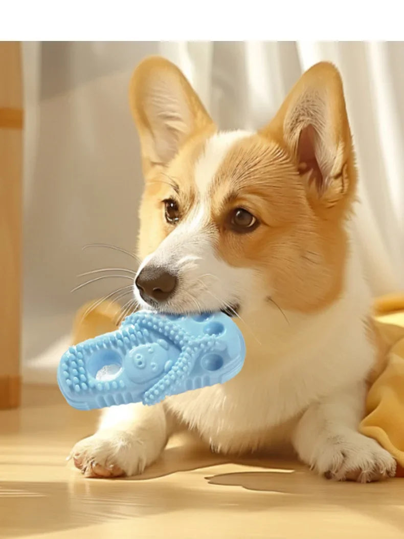 Pet Dog TPR Toy Bite-resistant Slippers Gnawing Teeth Cleaning Schnauzer Teddy Puppy Pet Products Dental Cleaning Slipper Toy