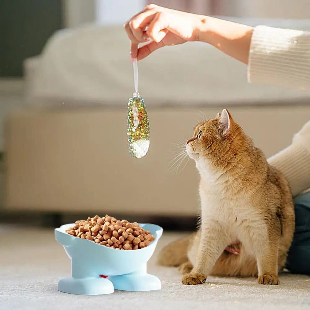 Tilted Elevated Bowl Pet Bowls Safe 15 Slanted Pet Feeder Neck Protection Non-Slip & Non-Spill Basic Dog Bowls For Easy Feeding