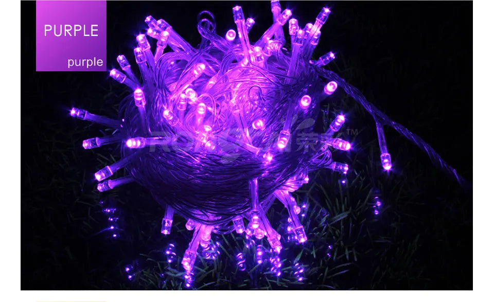 LED Strip 10M 100LEDs Christmas Lights Led Strip Lights Festoon Fairy Lights Garden Light Party Holiday Christmas Decoration