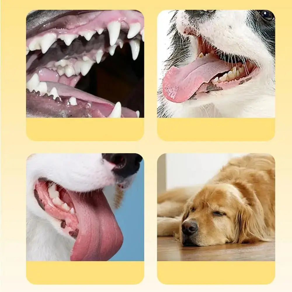 Pet Supplies Bite-resistant Dog Chew Toy Wear-resistant Interactive Pet Sound Making Toy TPR Pet Training Toy Grinding Teeth