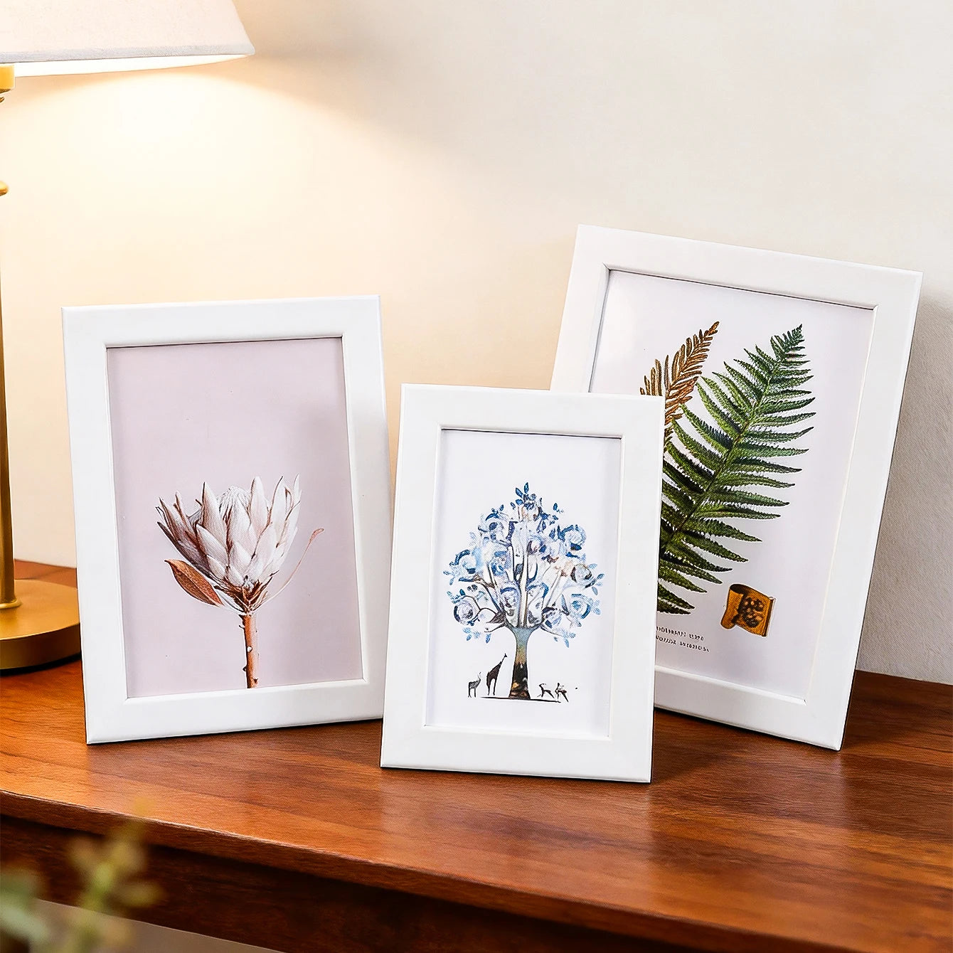 Multi-size tabletop photo frames for displaying 5, 6, 7, and 8-inch photos, suitable for placement in living rooms, bedrooms