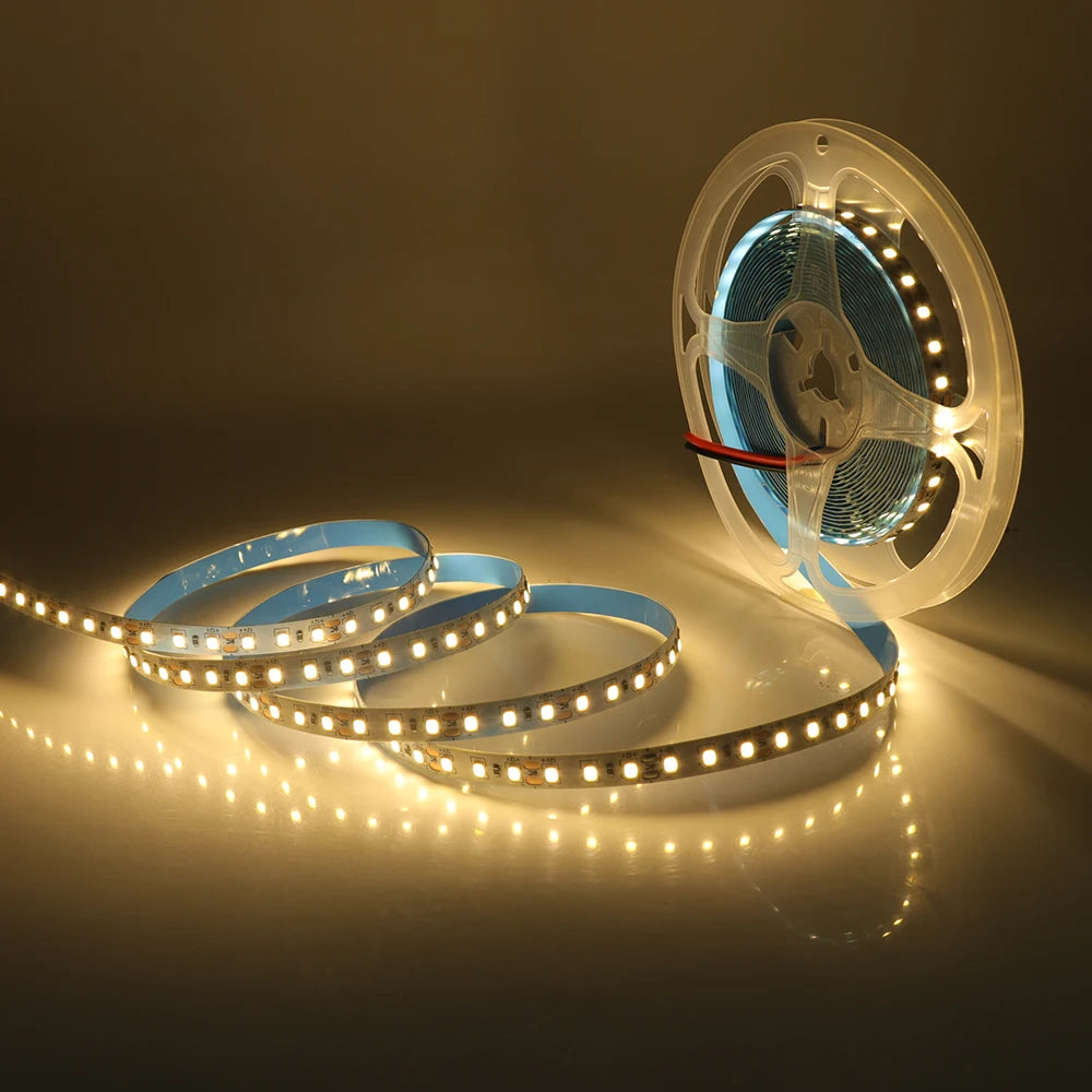 5M 10M LED Light Strips 12V 24V SMD 2835 120 240LEDs/m Home Lamp Strip Flexible LED Ribbon Tape Soft Lamp Bar 3000K 4000K 6000K