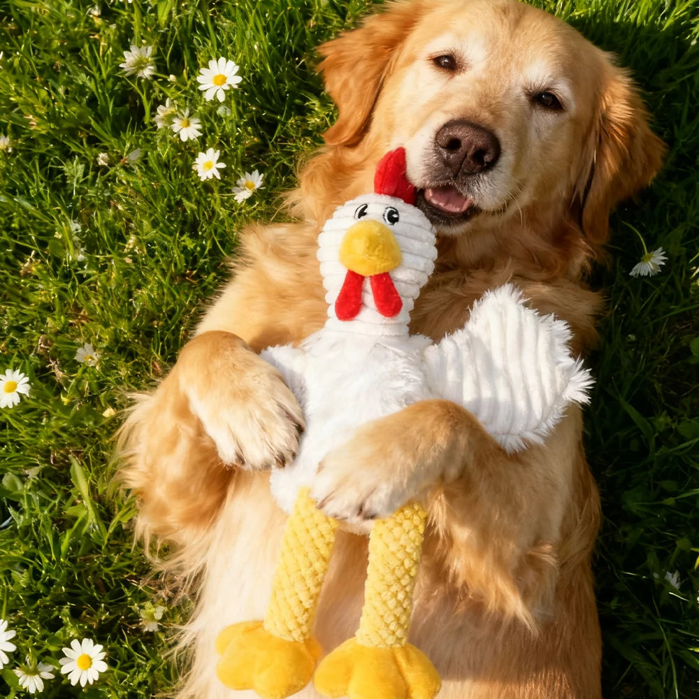 Pet Chew-Resistant Plush Interactive Toy with Sound, Cartoon Rooster Design, Suitable for Large, Medium, and Small Pets Such as Cats and Dogs, Double-Layer Fabric, Built-In Airbag