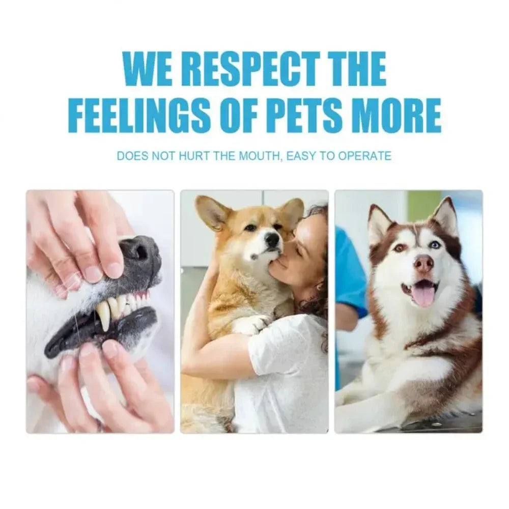 60g Pet Toothpaste Cat Dog Fresh Breath Toothpaste Remove Tartar Plaque Teeth Cleaning Oral Care Edible Toothpaste Pet Products