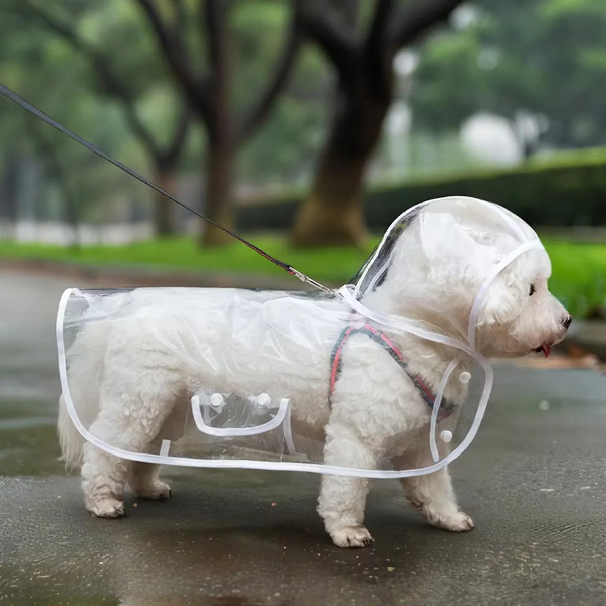 Pet Waterproof Raincoat Pet Dog Puppy Transparent Rainwear Waterproof Jacket Clothes Soft PVC Raincoat for Small Medium-Size Dog