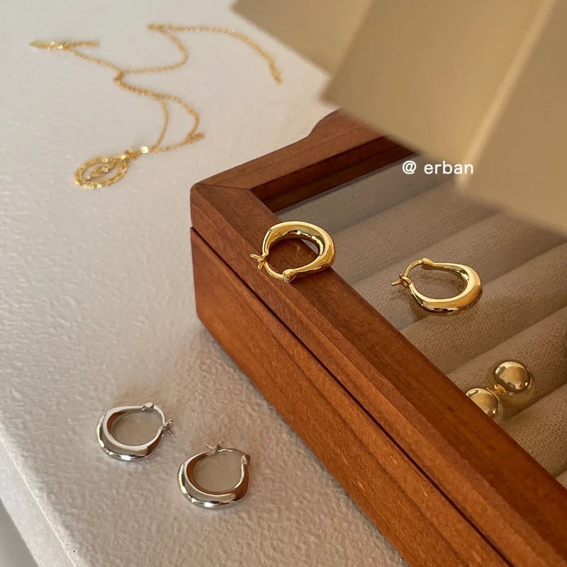 Sterling Silver Earrings Light Luxury Simple Elegant Grand Exquisite High End Fashionable Style of Earrings for Women