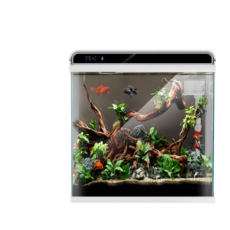 Creative Small Desktop Aquarium, Ecosystem Fish Tank for Office Home Desk Decoration, Mini Glass Tank