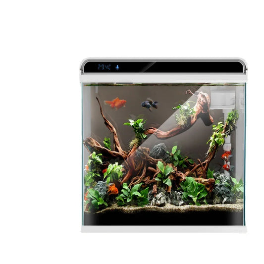 Creative Small Desktop Aquarium, Ecosystem Fish Tank for Office Home Desk Decoration, Mini Glass Tank