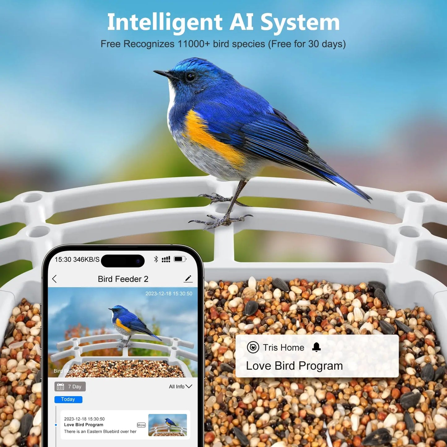 2.4G WiFi Smart Bird Feeder with Camera 2.4K Screen Solar Low Power Night Vision IP66 Waterproof 4G or WIFI Connected Feeder