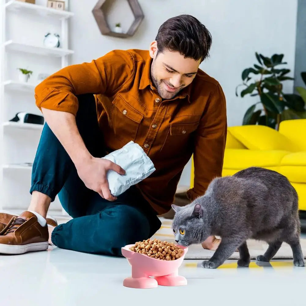 Tilted Elevated Bowl Pet Bowls Safe 15 Slanted Pet Feeder Neck Protection Non-Slip & Non-Spill Basic Dog Bowls For Easy Feeding