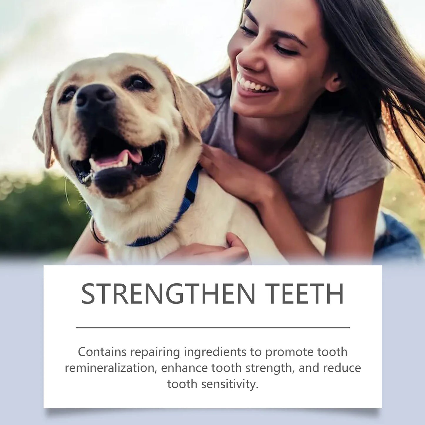 Pet Teeth Whitening Pen Set Pet Teeth Cleaning To Remove Tartar And Plaque 6ml
