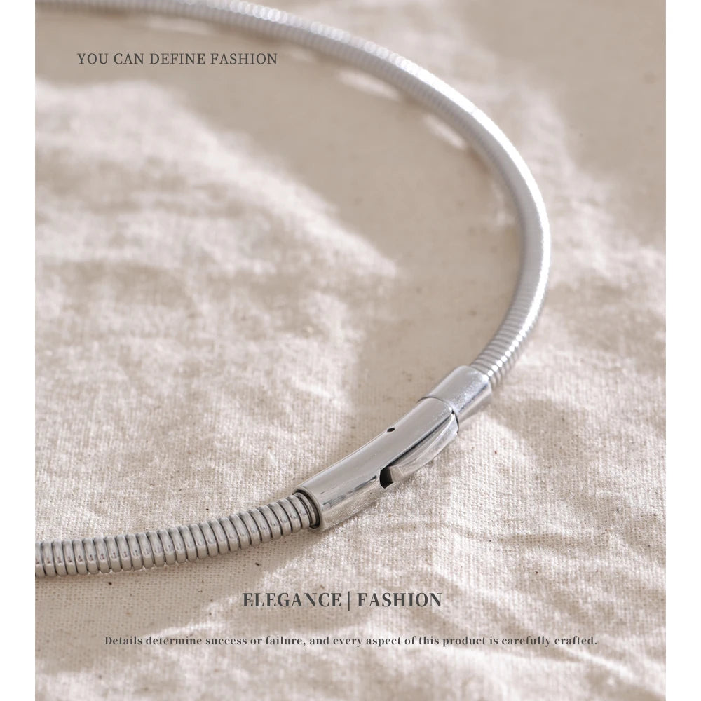 NiNice Necklace 316 Stainless Steel Snake Chain Collar 18k Plated Fashionable Simple gift Collares Para Mujer Grandes Modernos