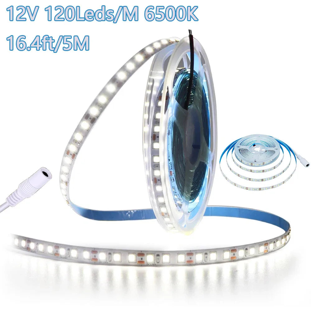 2Pcs 16.4Ft/5M 12V 600 Led Strips with Dc Connector, 8mm Wide, 6500K White Light Led Strip, Self-Adhesive, Cuttable Led Strip for Indoor Bedroom Kitchen Cabinet Lighting, Shopping Mall, Hotel, Office Under-Cabinet Lighting, B