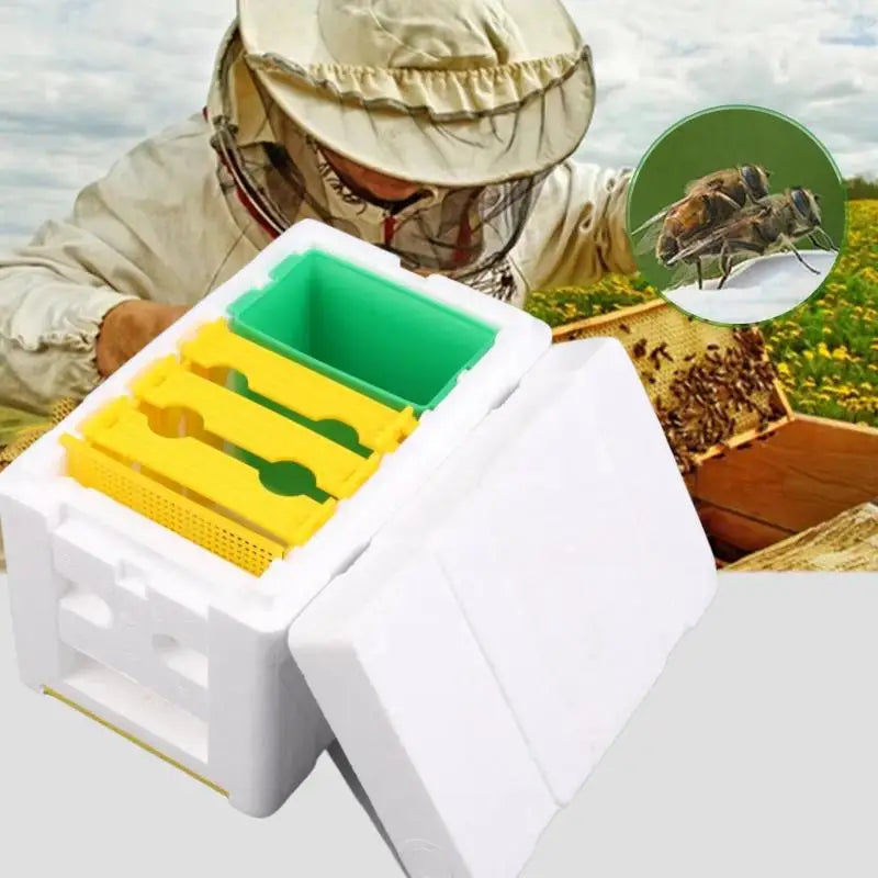 Queen Bee Breeding and Mating Box - Foam Bee Hive for Garden Pollination and Beekeeping Equipment