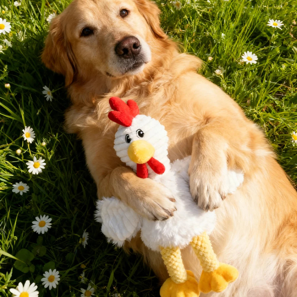 Pet Chew-Resistant Plush Interactive Toy with Sound, Cartoon Rooster Design, Suitable for Large, Medium, and Small Pets Such as Cats and Dogs, Double-Layer Fabric, Built-In Airbag