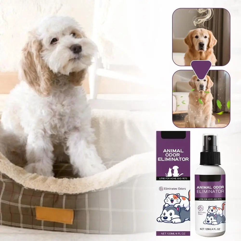 Pet Deodorizer Antibacterial cat urine dog urine cat litter deodorizer Safe hygienic Pet Deodorizer Pet's Accessories