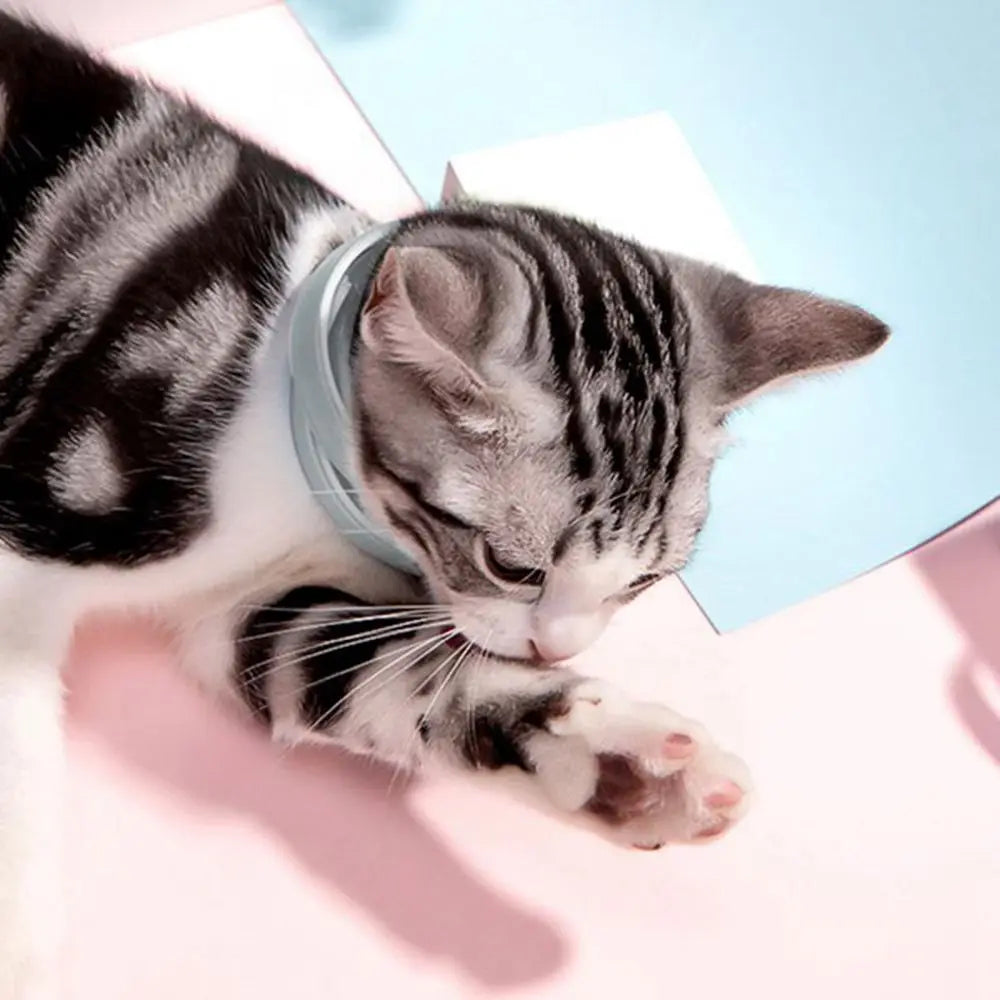 Pet Products Anti Flea for Cat Dog Anti Ticks Anti Mosquitoes Flea Collar Puppy Collar Dog Flea Repeller Dog Cat Collar