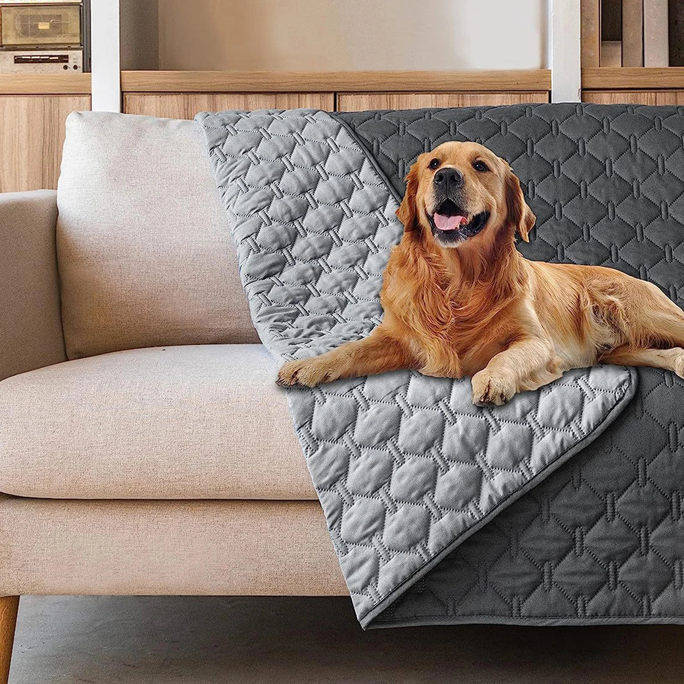 Waterproof Pet Mattress Non-slip Reusable Pet Pad Protective Cat Sofa Cushion Light Easy Clean Small Dog Mat in Spring