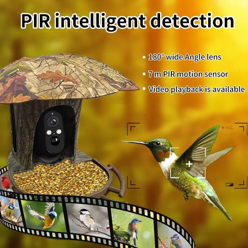 3MP 1296P I-Cam+ APP  Bird Feeding  Solar Battery  Power  IP Camera AI Outdoor Watch Bird Feeder Long Time Standby CCTV Monitor