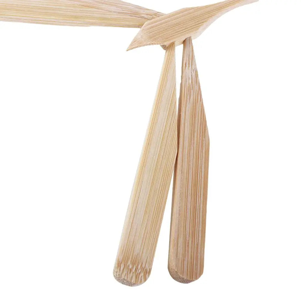 Educational Toys Easter Scientific Display Model Balance Dragonfly Toys Wooden Flying Arrow Toys Balanced Bamboo Dragonfly