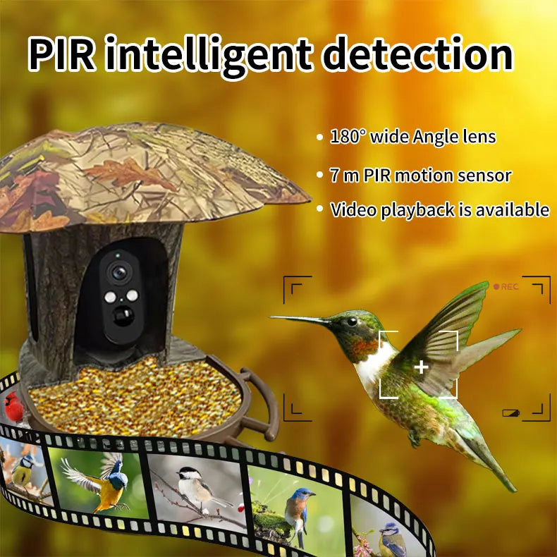 3MP 1296P I-Cam+ APP  Bird Feeding  Solar Battery  Power  IP Camera AI Outdoor Watch Bird Feeder Long Time Standby CCTV Monitor
