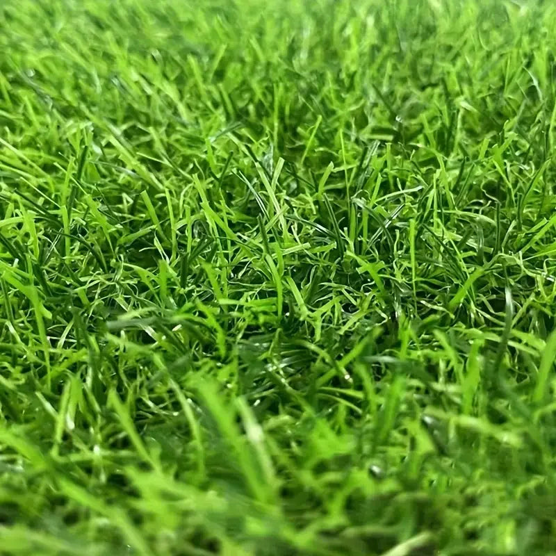 Artificial Turf Carpet, Suitable for Indoor/outdoor Landscapes, Easy To Clean, Pet Friendly, School and Wedding Venue Carpets