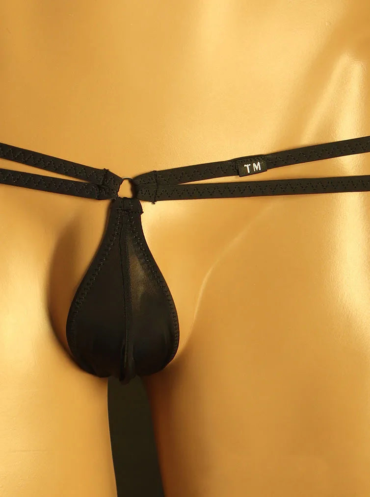 Men's Thongs  Ice Silk Fabric Sexy Thin Panties Comfortable Low Waist Men's Thongs  jockstrap