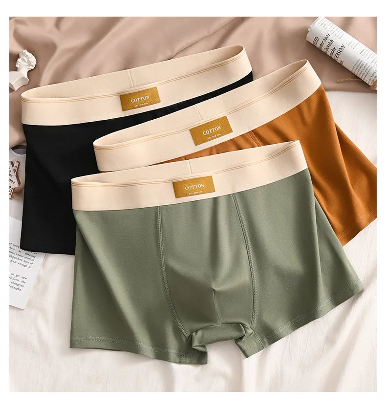 3pcs Men Underwear Cotton BoxerShorts Hombre Panties Man Breathable Underpants Sexy Sports Comfort Male Boxers Large Size L-6XL