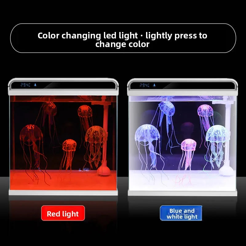 Creative Small Desktop Aquarium, Ecosystem Fish Tank for Office Home Desk Decoration, Mini Glass Tank