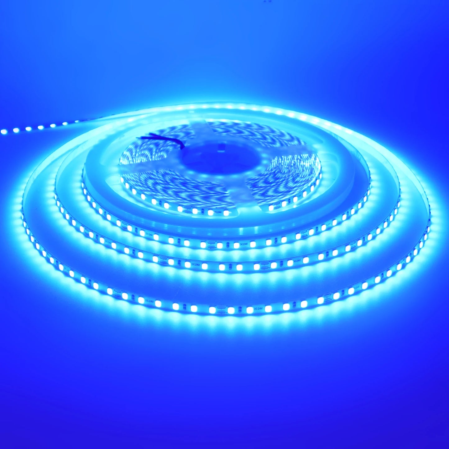 LED Strip 5mm 12V 24V 120LEDs/m Warm White Yellow Red Green Ice Blue Pink Purple Not Waterproof Flexible Tape for DIY Room Decor