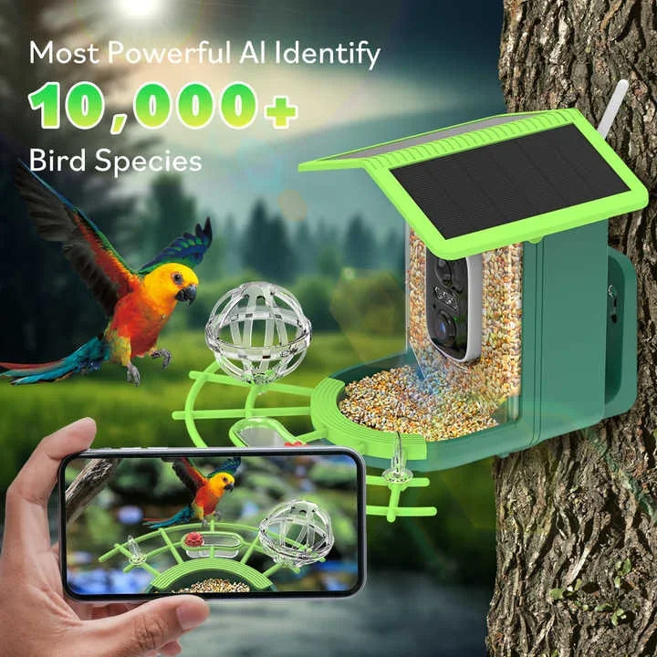 DIDSeth Smart Bird Feeder Camera 4MP 2K HD Solar Powered IP66 Waterproof 1.5L Capacity Night Vision Birdwatching Instant Alerts