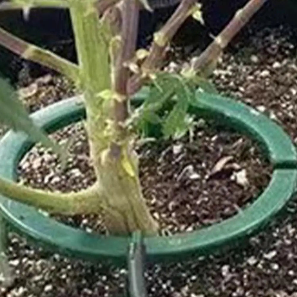 Plant Water Ring Drip Irrigation Watering Ring Hydro Halo Ring Sturdy Water Ring For Watering Plants Ideal Water Distribution