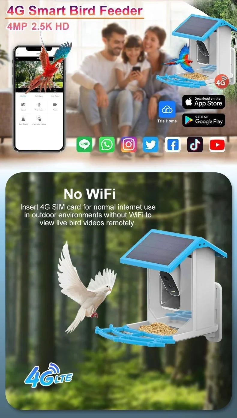 2.4G WiFi Smart Bird Feeder with Camera 2.4K Screen Solar Low Power Night Vision IP66 Waterproof 4G or WIFI Connected Feeder