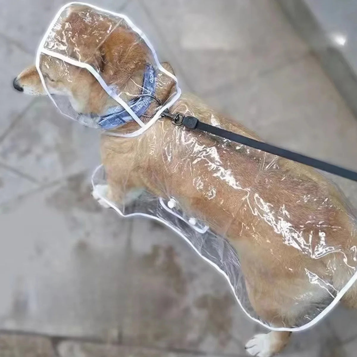 Pet Waterproof Raincoat Pet Dog Puppy Transparent Rainwear Waterproof Jacket Clothes Soft PVC Raincoat for Small Medium-Size Dog