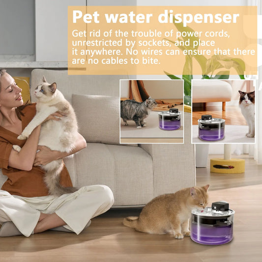 Pet Drinking Stainless Steel Pet Sensor Drinking Feeder Wireless Automatic Circulation Water Dispenser Indoor Water Dispenser