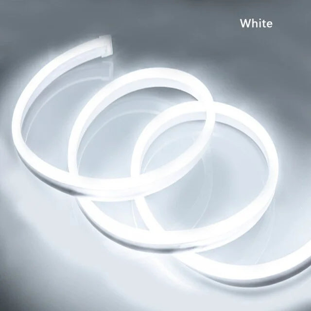 LED Neon Strip Light DC12V IP65 Waterproof For Outdoor Garden Billboard Advertisement Home Party Room Deco Yellow Red Blue Green