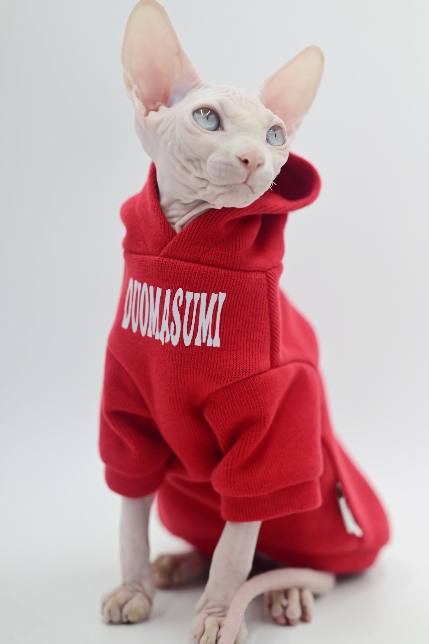 Stylish Hairless Cat Clothes Spring/Autumn Collection for Sphynx Cats，Devon Rex, Cornish and Small Cats