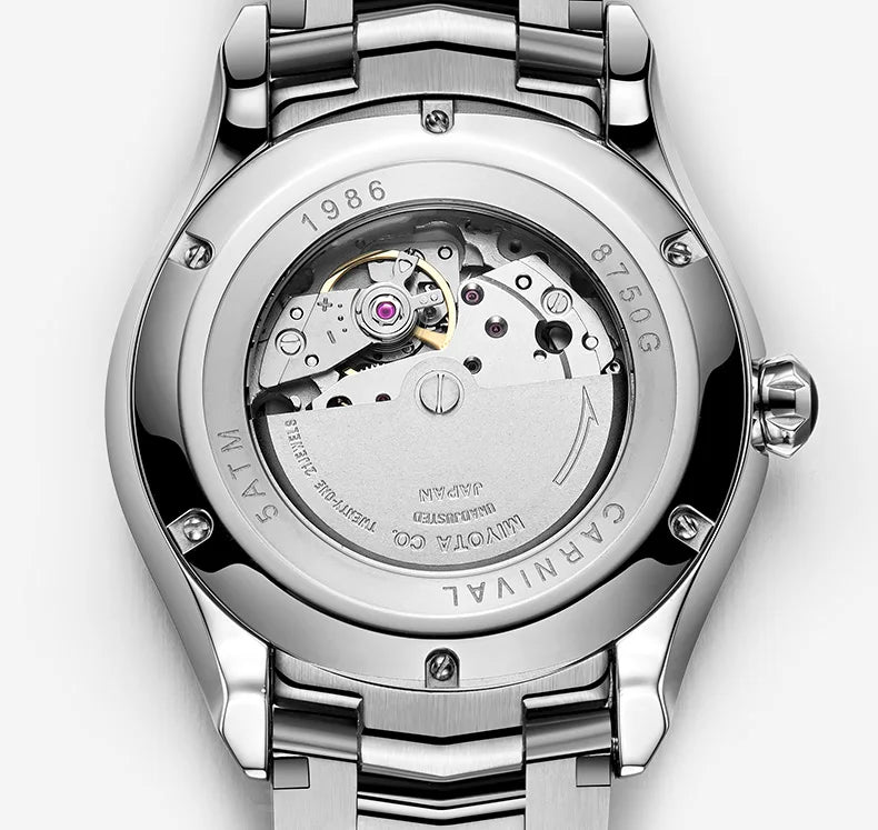 I&W Men Automatic Watch 41mm Mechanical Wristwatch 50M Waterproof Luminous Sapphire Mirror Dual Calendar Week Date