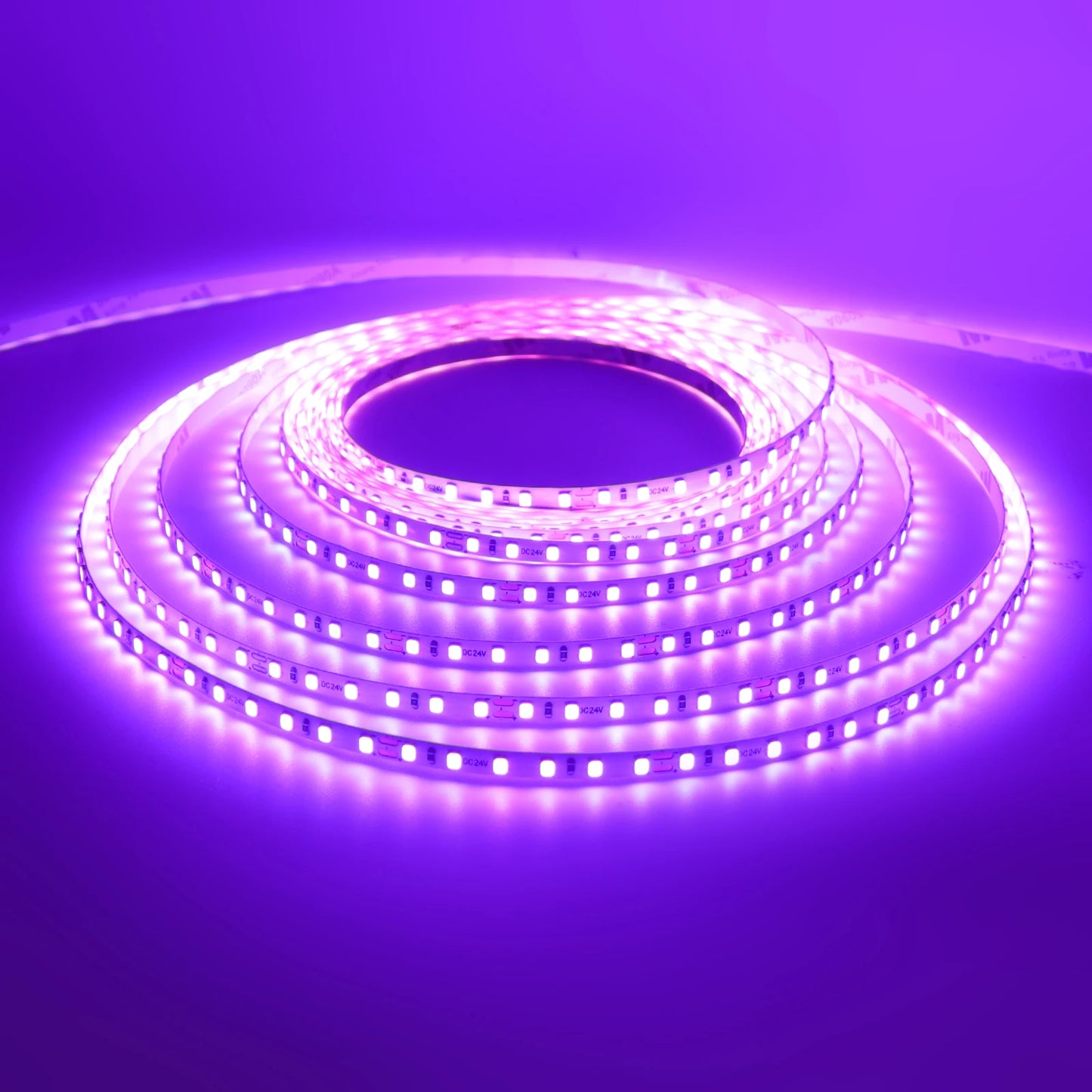 LED Strip 5mm 12V 24V 120LEDs/m Warm White Yellow Red Green Ice Blue Pink Purple Not Waterproof Flexible Tape for DIY Room Decor