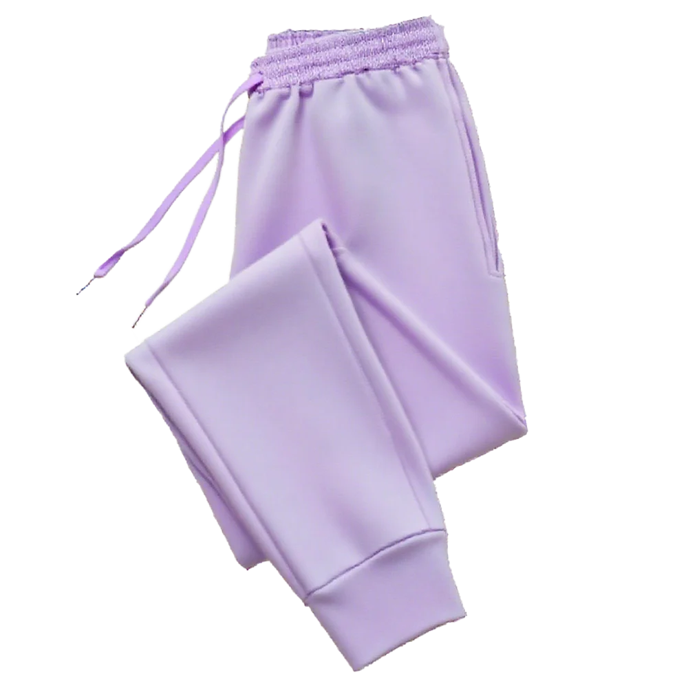 Women's Pants Blank Essential Basics Sweatpants Autumn Winter Fleece High Quality Fashion Sports Jogger Pants Women