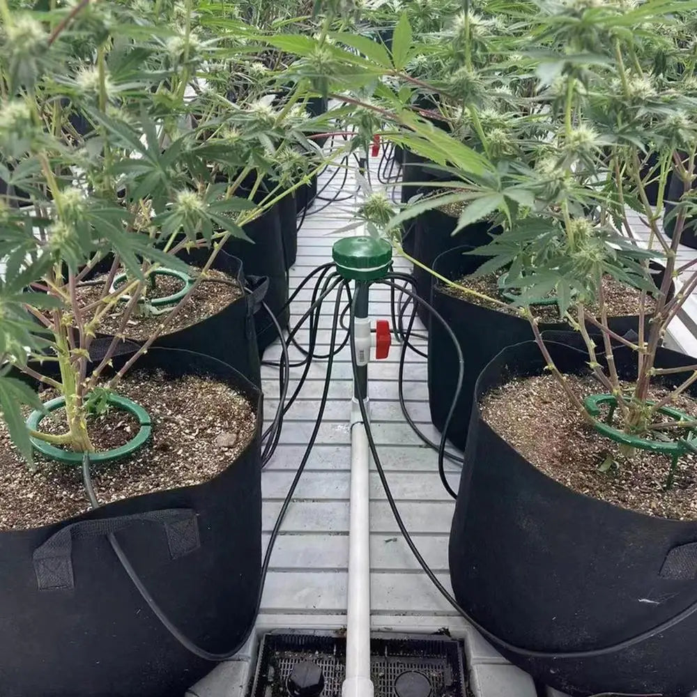 Plant Water Ring Drip Irrigation Watering Ring Hydro Halo Ring Sturdy Water Ring For Watering Plants Ideal Water Distribution