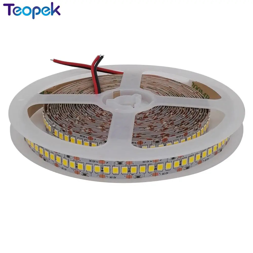LED Strip 2835 240 LEDs/m DC12V 24v High Brightness 1200 LED Single Row Flexible LED Light Warm White / White RGB 5m/lot