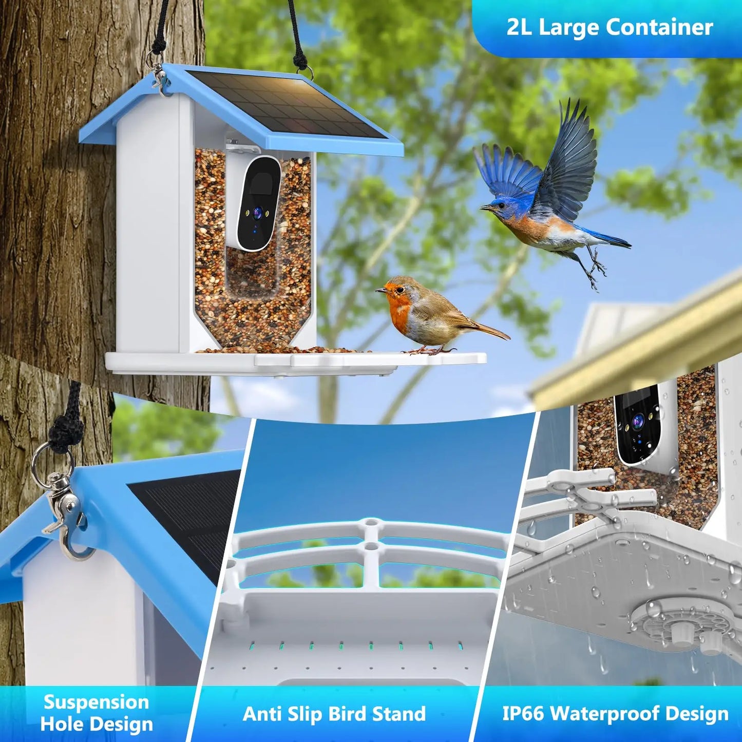 2.4G WiFi Smart Bird Feeder with Camera 2.4K Screen Solar Low Power Night Vision IP66 Waterproof 4G or WIFI Connected Feeder