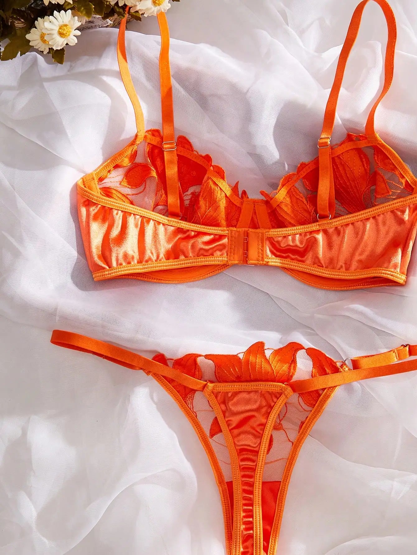 Lingerie Set Sheer Lace Underwire Push Up Bra & Thong Sexy Transparent Embroidery Underwear Kits for Women