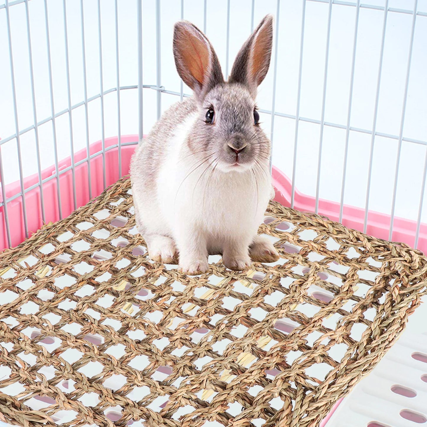 2Pcs Pet Grass Mat Durable Eco-Friendly Woven Bed Mat Chewing Pad Footing Pad for Rabbit Bunny Guinea Pig Hamster